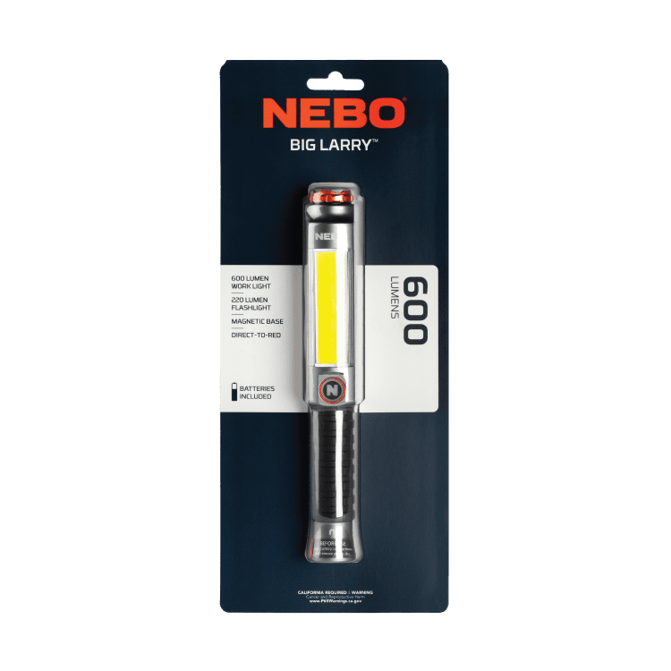 Big-Larry-3-1x1-003 Big-Larry-3-1x1-003