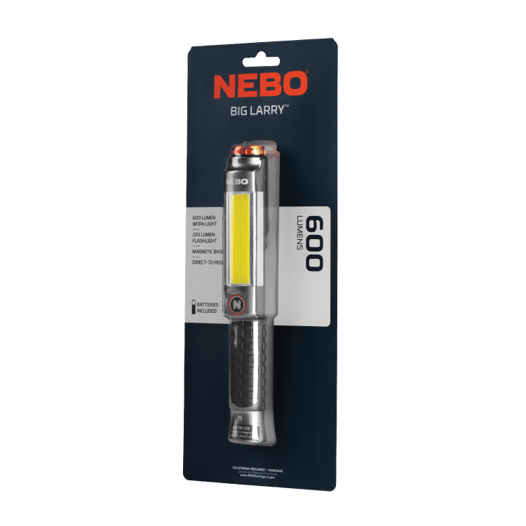 Big-Larry-3-1x1-004 Big-Larry-3-1x1-004